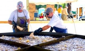 (Photo: Wicomico County Fair)